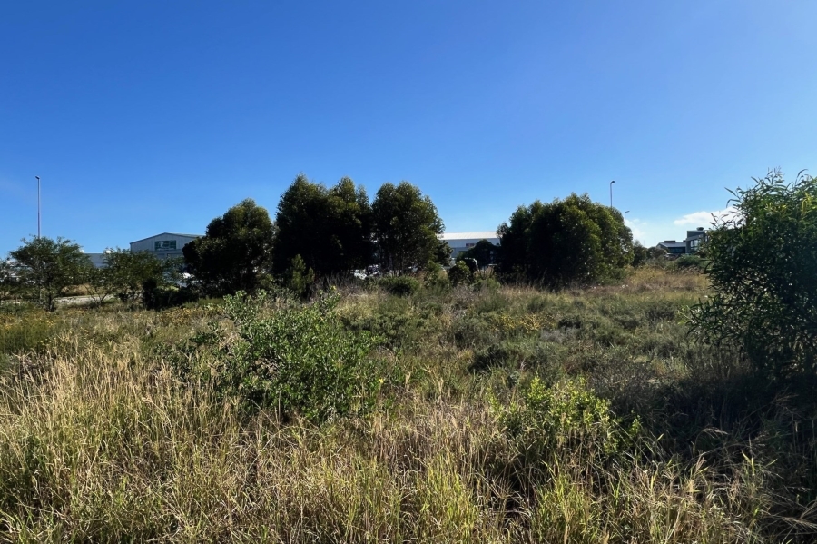 0 Bedroom Property for Sale in Fountains Estate Eastern Cape